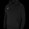 Nike Park 20 Fleecehoody Kinder black white F010