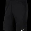 Nike Park 20 Knit Shorts Kinder black white F010