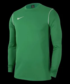 Nike Park 20 Sweatshirt Kinder green F302