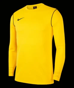 Nike Park 20 Sweatshirt yellow F719