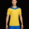 Nike Park Derby IV Trikot yellow blue F720