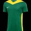 Nike Park Derby IV Trikot Kinder green F303