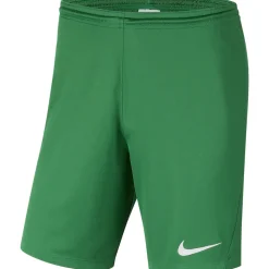 Nike Park III Kinder Shorts pine green-weiß