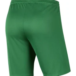 Nike Park III Kinder Shorts pine green-weiß