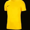 Nike Park VII Trikot amarelo F719