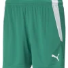 Puma Damen Shorts teamLIGA grün-weiß
