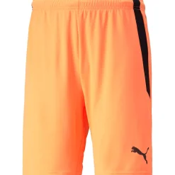 Puma Herren Shorts teamLIGA orange-schwarz