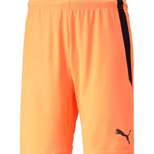 Puma Herren Shorts teamLIGA orange-schwarz