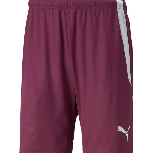 Puma Herren Shorts teamLIGA rot-weiß