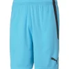 Puma Herren Shorts teamLIGA blau-schwarz