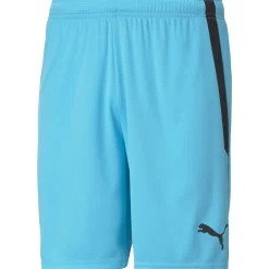 Puma Herren Shorts teamLIGA blau-schwarz