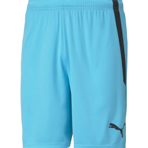 Puma Herren Shorts teamLIGA blau-schwarz