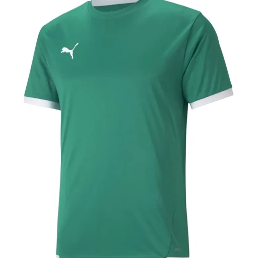 Puma Herren Trikot teamLIGA grün-weiß