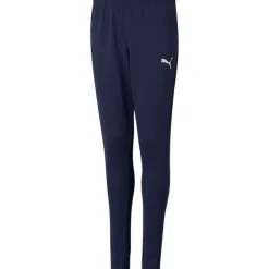 Puma Kinder Polyester Trainingshose teamRISE blau-weiß