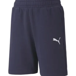Puma Kinder Shorts teamGOAL 23 Casuals blau