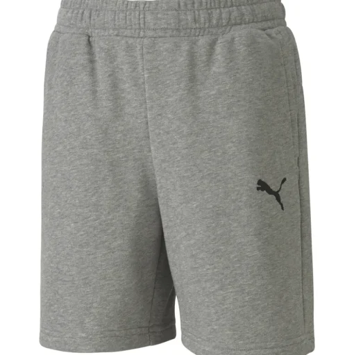 Puma Kinder Shorts teamGOAL 23 Casuals grau