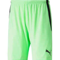 Puma Kinder Shorts teamLIGA grün-schwarz