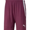 Puma Kinder Shorts teamLIGA rot-weiß