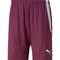 Puma Kinder Shorts teamLIGA rot-weiß