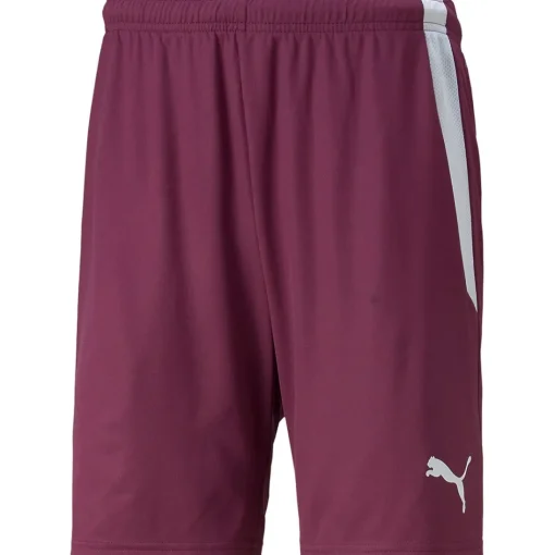 Puma Kinder Shorts teamLIGA rot-weiß