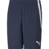 Puma Kinder Shorts teamLIGA blau-weiß