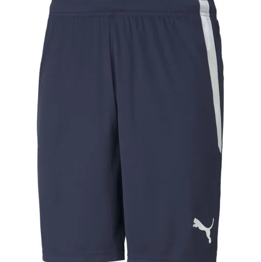 Puma Kinder Shorts teamLIGA blau-weiß