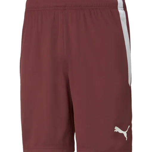 Puma Kinder Shorts teamLIGA rot-weiß