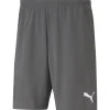 Puma Kinder Shorts teamRISE grau-weiß