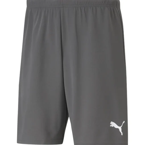 Puma Kinder Shorts teamRISE grau-weiß