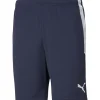Puma Kinder Training Shorts teamLIGA blau-weiß