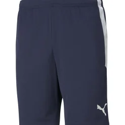 Puma Kinder Training Shorts teamLIGA blau-weiß