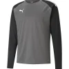 Puma Kinder Training Sweatshirt teamLIGA grau-schwarz
