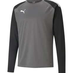 Puma Kinder Training Sweatshirt teamLIGA grau-schwarz
