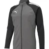 Puma Kinder Trainingsjacke teamLIGA grau-schwarz