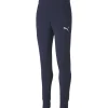 Puma Pants teamGOAL 23 Casuals blau