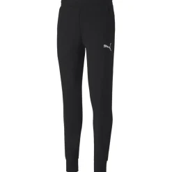 Puma Pants teamGOAL 23 Casuals schwarz