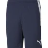 Puma Training Shorts teamLIGA blau-weiß