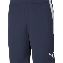Puma Training Shorts teamLIGA blau-weiß