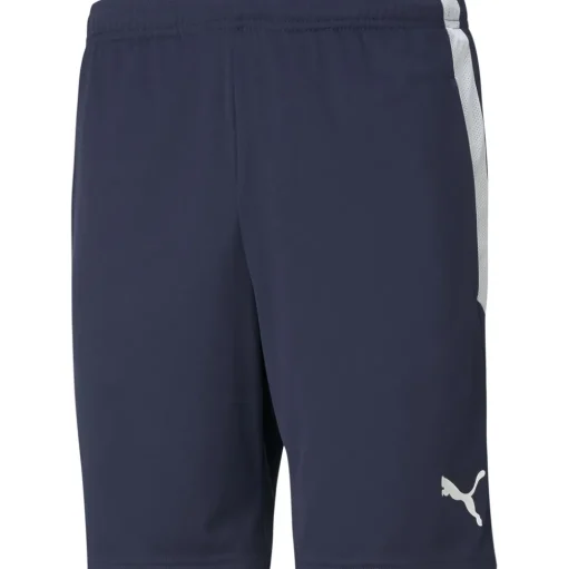 Puma Training Shorts teamLIGA blau-weiß