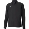 Puma Trainingsjacke teamGOAL 23 Sideline schwarz-grau